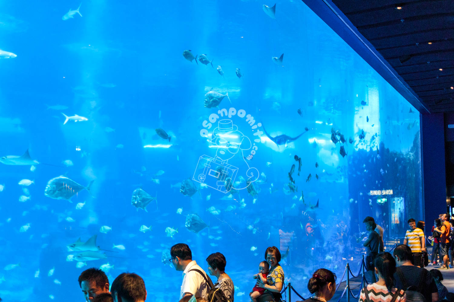 S.E.A. Aquarium／セントーサ島