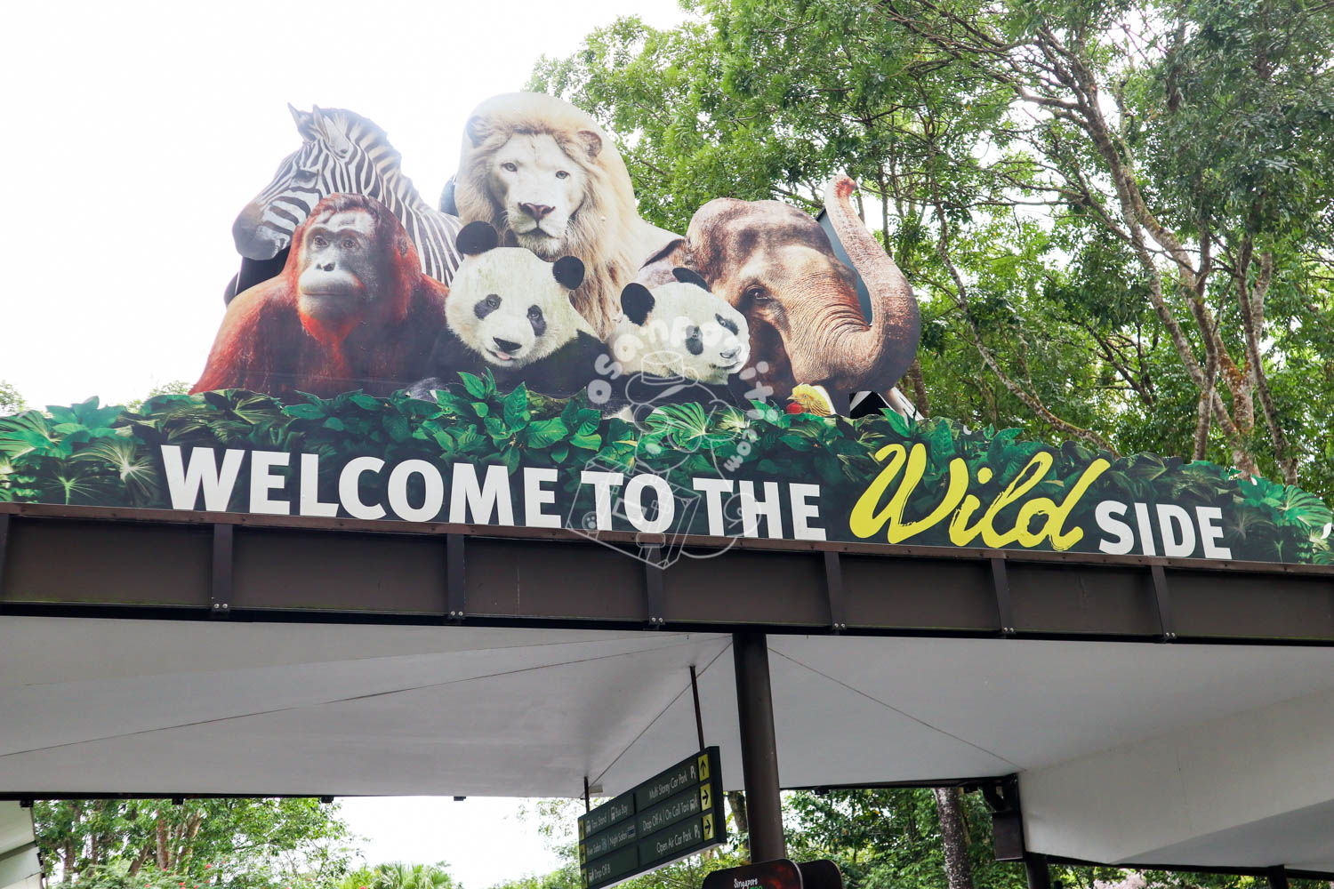 動物園／シンガポール